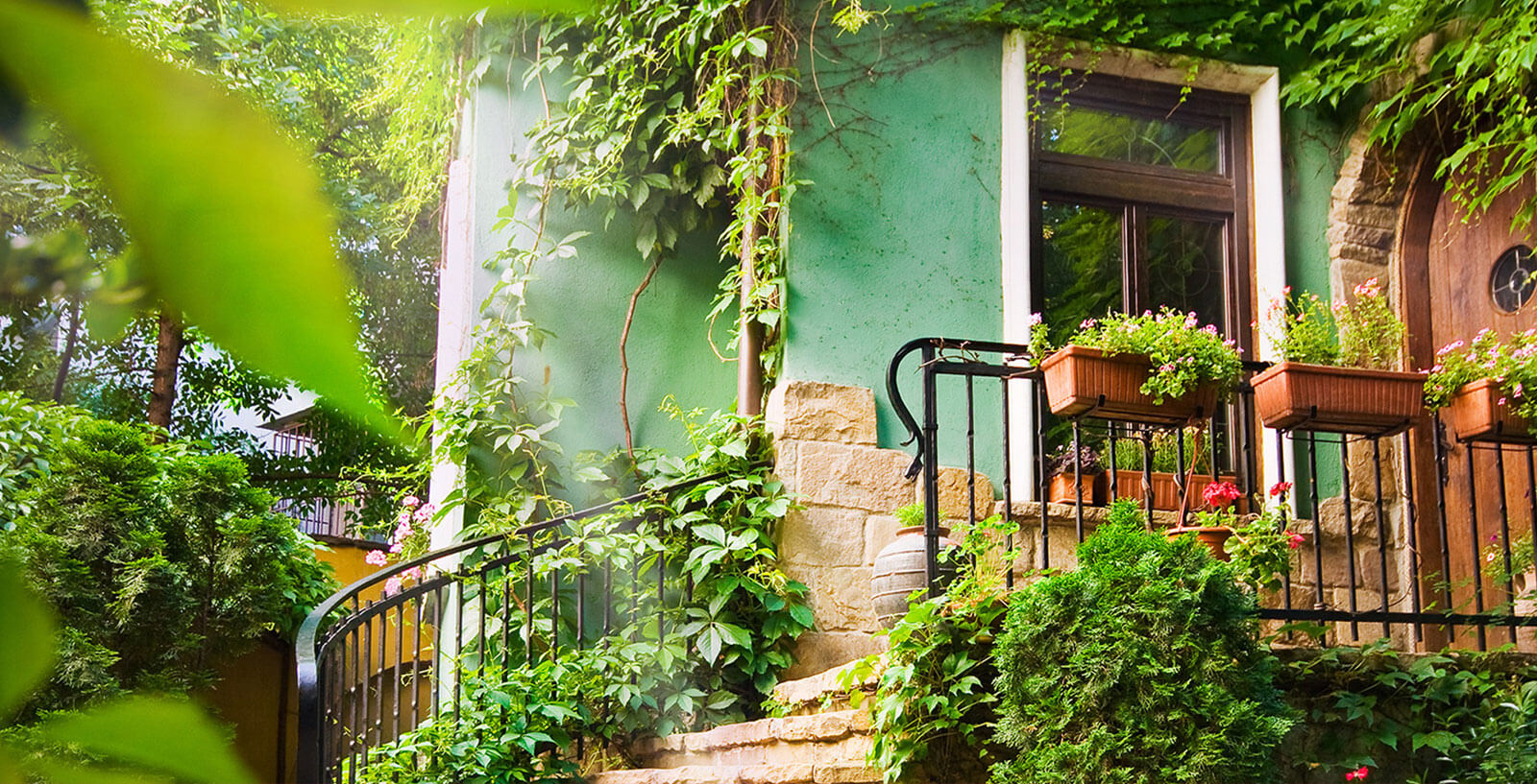 banner
